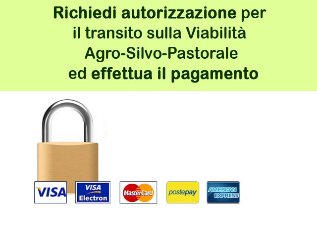 Richiedi pagamento online VASP